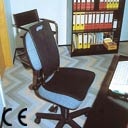 The Backfriend Backrest & Seat in the office