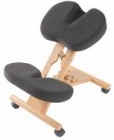 Putnam Posture Chair
