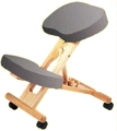 The Original Posture Chair