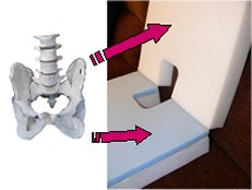 The Triple-CV Coccyx Cushion