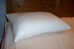 The Concept Memory Traditional Pillow