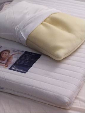 The Concept Memory Traditional Pillow and Mattress Topper Combination